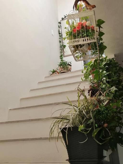 Casa Adhita, Tu Confort Es Nuestra Prioridad. Yautepec Ngoại thất bức ảnh